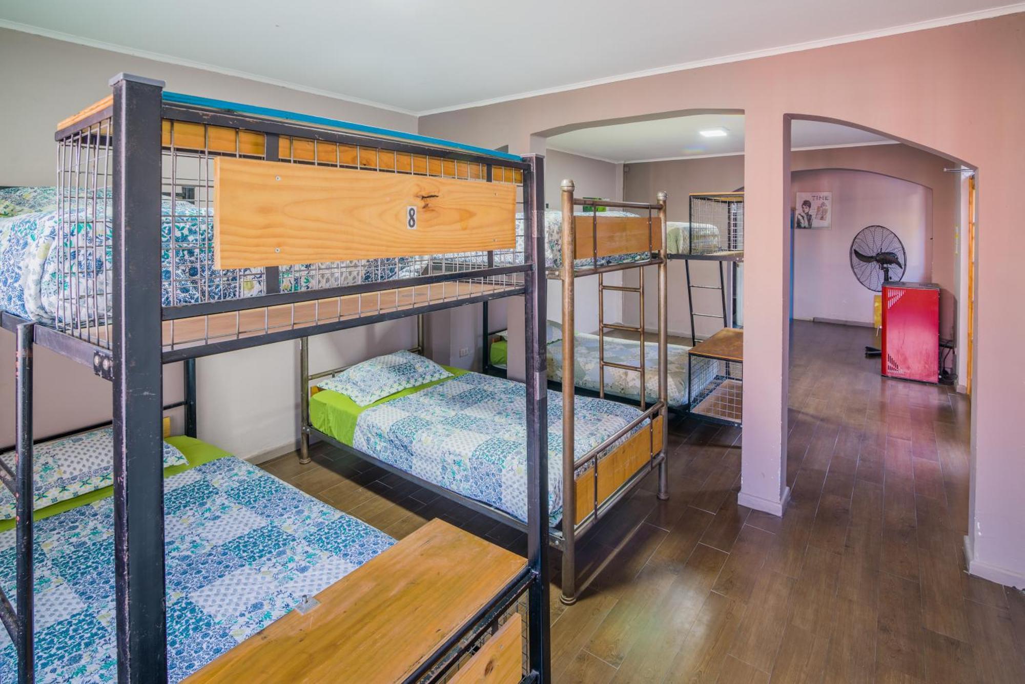 Bed in 8-Bed Dormitory Room,688517022:JPEG